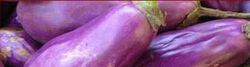 Eggplant h.jpg