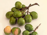 Mamoncillo