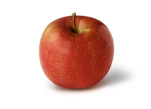 Fuji apple