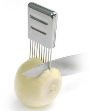 Onion holder