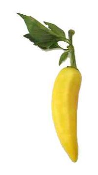 Yellow wax pepper