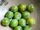 Greengages