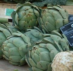 Artichokes