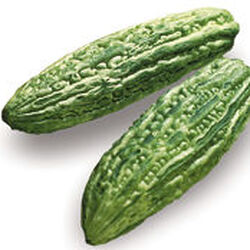 Bitter Melon Recipes Wiki Fandom