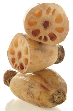 Lotus root