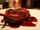 Moroccan Cuisine