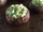 Avocado-stuffed Portobello Mushrooms