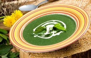 Nettle soup