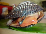 Ark clam