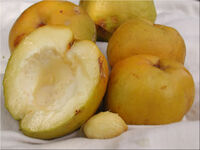 Sapote,White