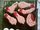Flattened Body Parts Cookies