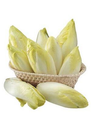 BelgianEndive