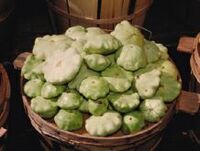 Pattypansquash