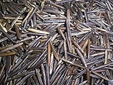 Wild rice