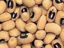 Black-eyed pea