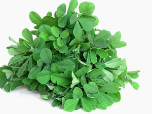 Fenugreek leaves