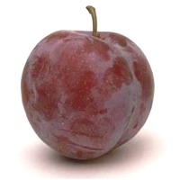 Backpflaume