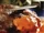 Choron sauce