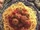 Mozzarella Meat Balls And Spaghetti