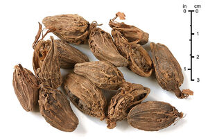 Black cardamom