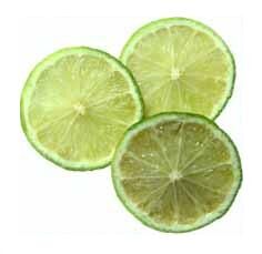 Lime Recipes Wiki Fandom