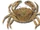 Cangrejo