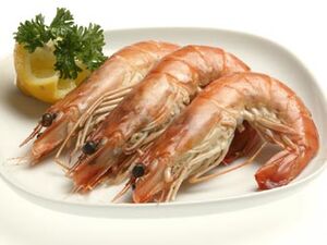 Langostino