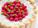 Ladyfinger Charlotte