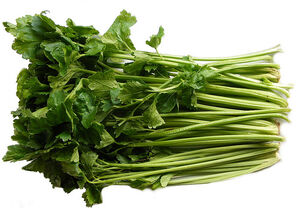 Chinese celery