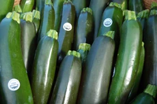 Courgette — Wikipédia