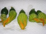 Squash blossoms