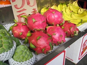 Dragon fruit