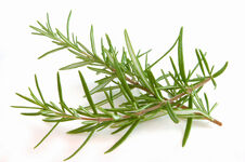 Rosemary