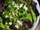 Pea, Feta and Mint Salad With Pistachios