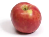 Gravenstein apple
