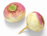 Turnips