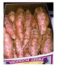 Sweet potato