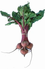 Beetroot