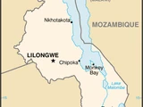 Malawian Cuisine