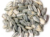 Sunflower seeds