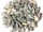 Sunflower seeds