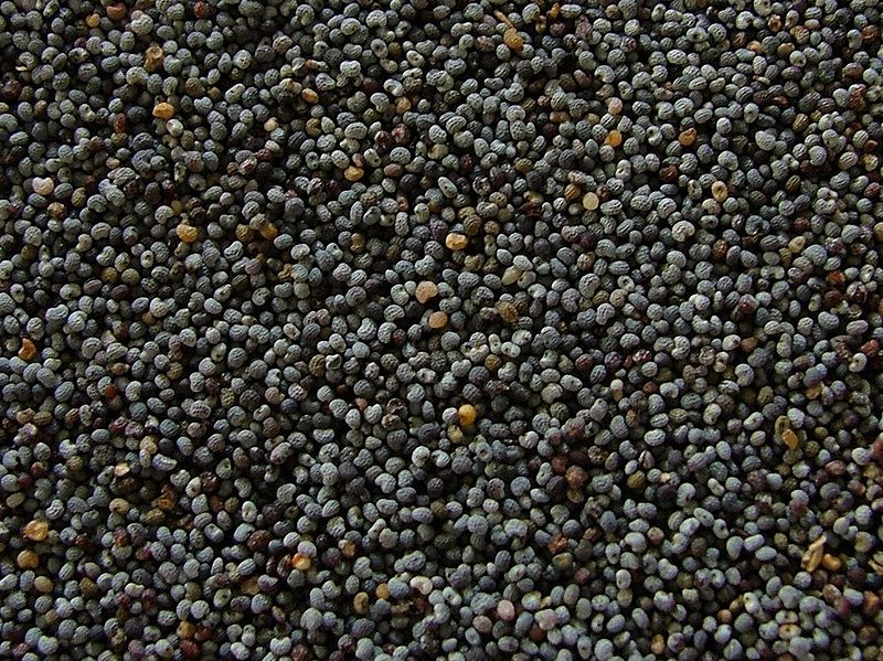 Poppy Seeds Recipes Wiki Fandom