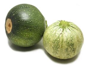 GlobeSquash