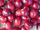 Cranberries by Jennifer Wickes