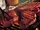 Sazon grilled steaks