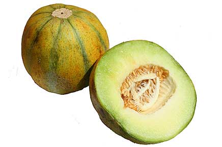 Honeydew (melon) - Wikipedia