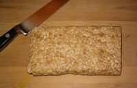 Tempeh.jpg