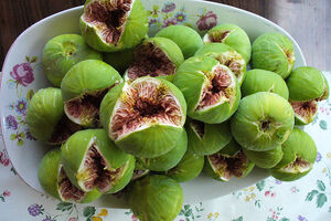 Figs