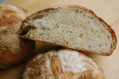 Featured image of post Steps to Prepare Pugliese Bread Wikipedia