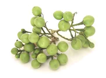 Pea eggplants | Recipes Wiki | Fandom